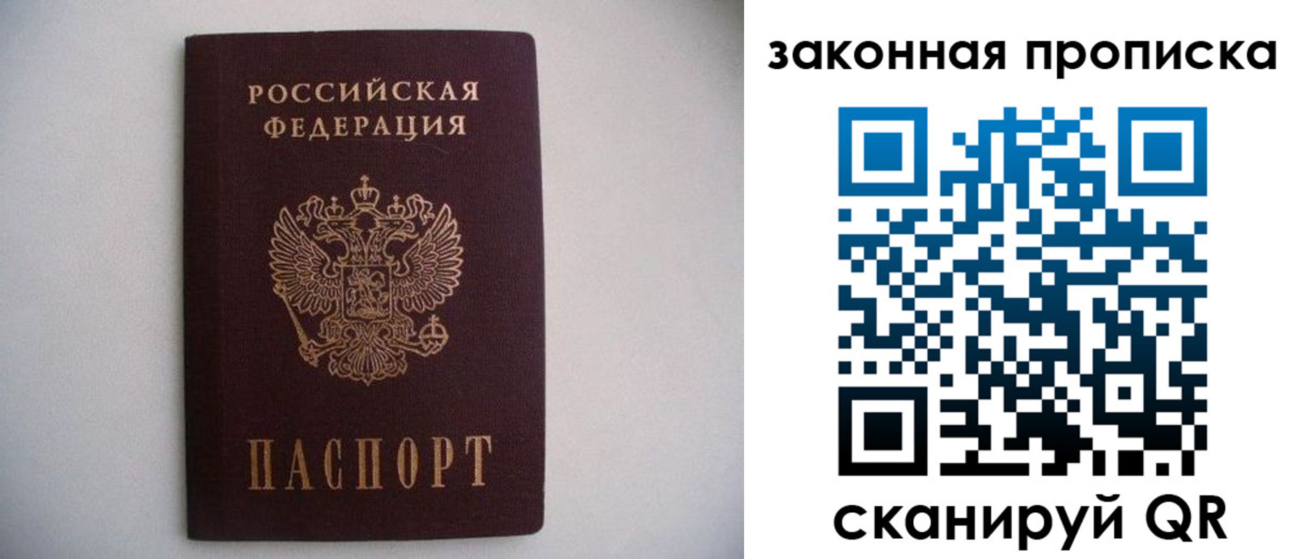 миграционный учет в Курской области