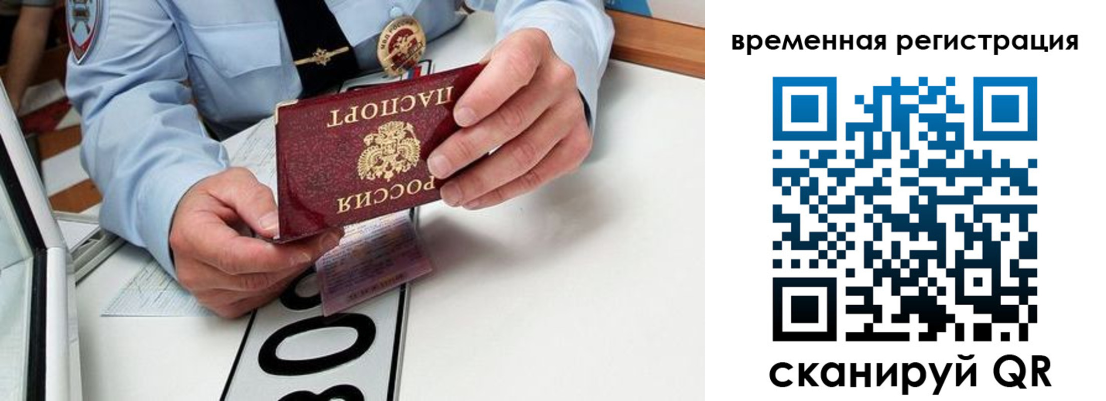 прописка гарантия в Курской области